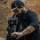 Higor Cabral