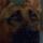 Primo the Dog