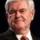 Newt Gingrich Newt Gingrich