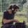 Sebastian Jose