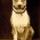 Luke the Dog