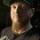 Corey 