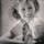 Paula Stone Paula Stone