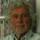 Wim Vink