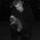 Connor Kalin