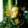 Eric Dinkian