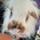 Bernard (lapin)