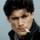 Steven Bauer