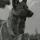 Klondike the Dog