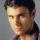 Steven Bauer
