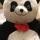 Andreza Giant Panda