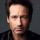 David Duchovny David Duchovny