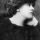 Jeanne Delvair Jeanne Delvair
