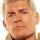 Cody Rhodes