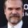 David Harbour David Harbour
