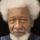 Wole Soyinka