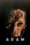 Adam Collection