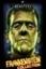 Frankenstein (Universal) Collection