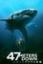 47 Meters Down Collection