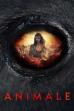 Animale (2024)