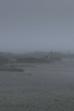 The Fog Has Covered The Moment Again (2021)