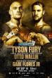 Tyson Fury vs. Otto Wallin (2019)