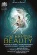 The Sleeping Beauty (2017)