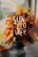 Sunflower (2021)