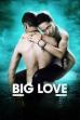 Big Love (2012)