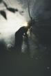 Palindrome (2025)