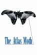 The Atlas Moth (2001)