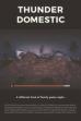 Thunder-Domestic ()