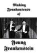 Making Frankensense of Young Frankenstein (1996)