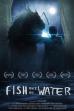 Fish Out Of Water (2019)
