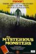 The Mysterious Monsters (1976)