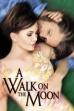 A Walk on the Moon (1999)