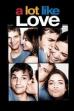 A Lot Like Love (2005)
