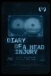 Diary of a Head Injury (2024)