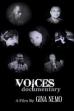 Voices ()