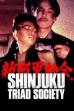 Shinjuku Triad Society (1995)