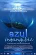 Intangible Blue (2012)