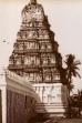 Edward Prince of Wales' Tour of India: Madras, Bangalore, Mysore and Hyderabad (1922)