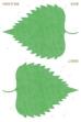 Shiso (2025)