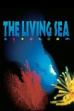 The Living Sea (1995)
