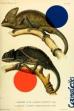 Chameleons (2022)