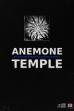 Anemone Temple (2021)