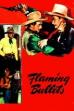 Flaming Bullets (1945)