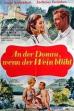 An der Donau, wenn der Wein blüht (1965)