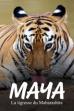 Maya, la tigresse du Maharashtra (2020)