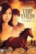 Camp Harlow (2014)